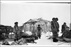 Inuit camp